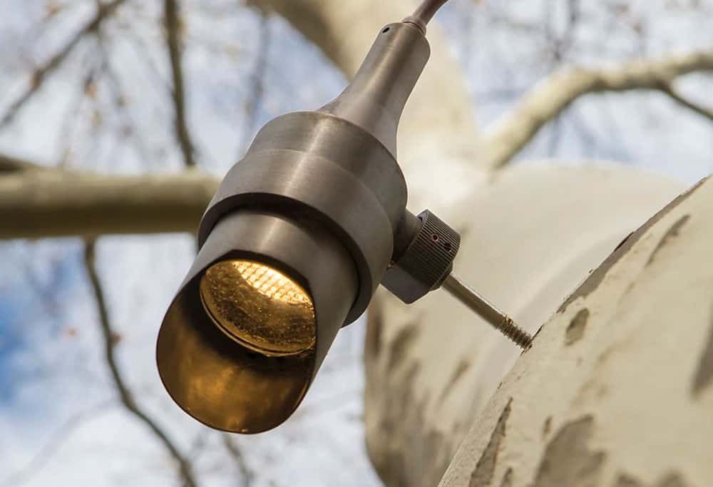 Tree Lights