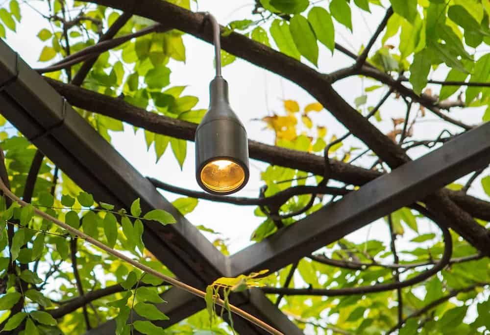 Hanging Light