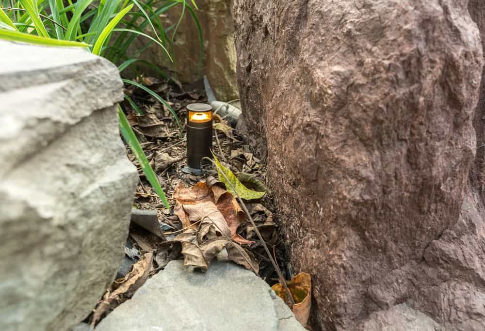Coastal Flex Niche Lights