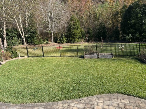 1 before Backyard Transformation with Pool and Outdoor Living in Great Bridge - Solid Structures Before Backyard Transformation with Pool and Outdoor Living in Great Bridge