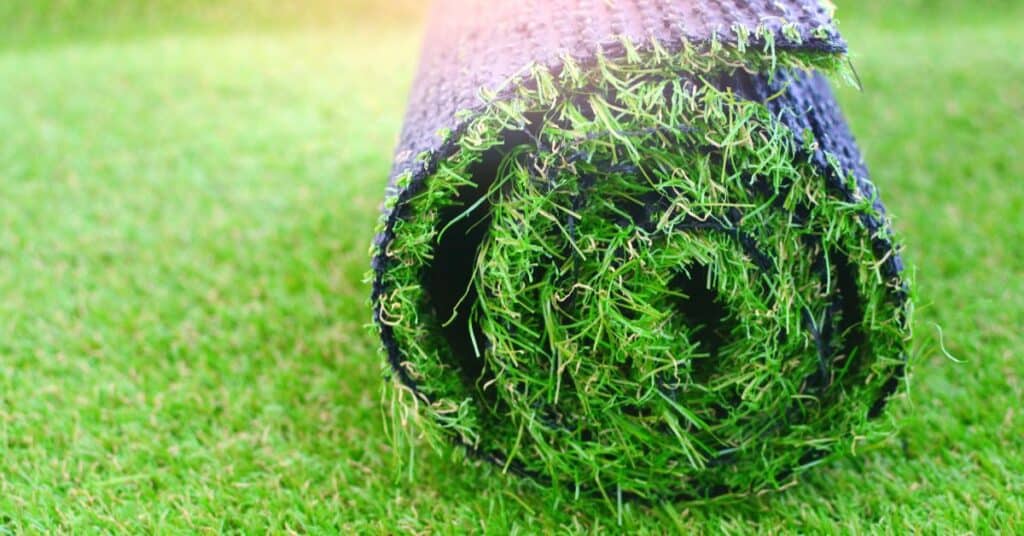 Complete 2022 Guide to Artificial Grass