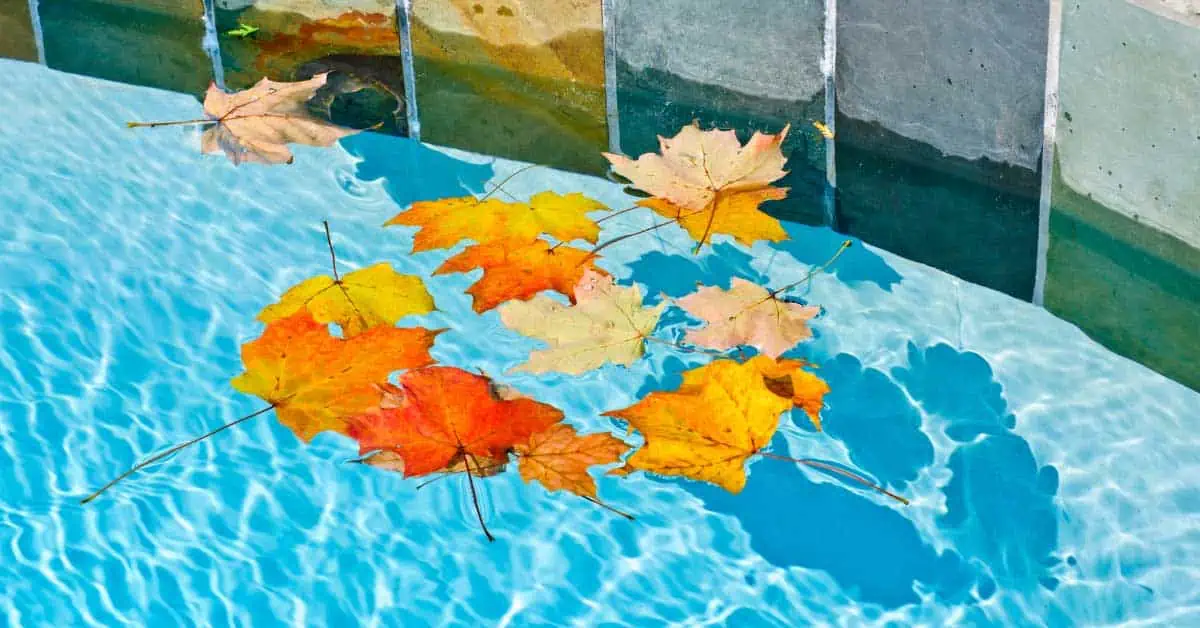- Solid Structures Autumn Swimming Pool