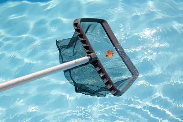 Cleaning swimming pool with net skimmer - Solid Structures Pool Skimmer